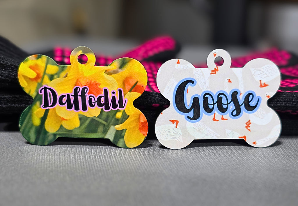 Personalized Dog Tags